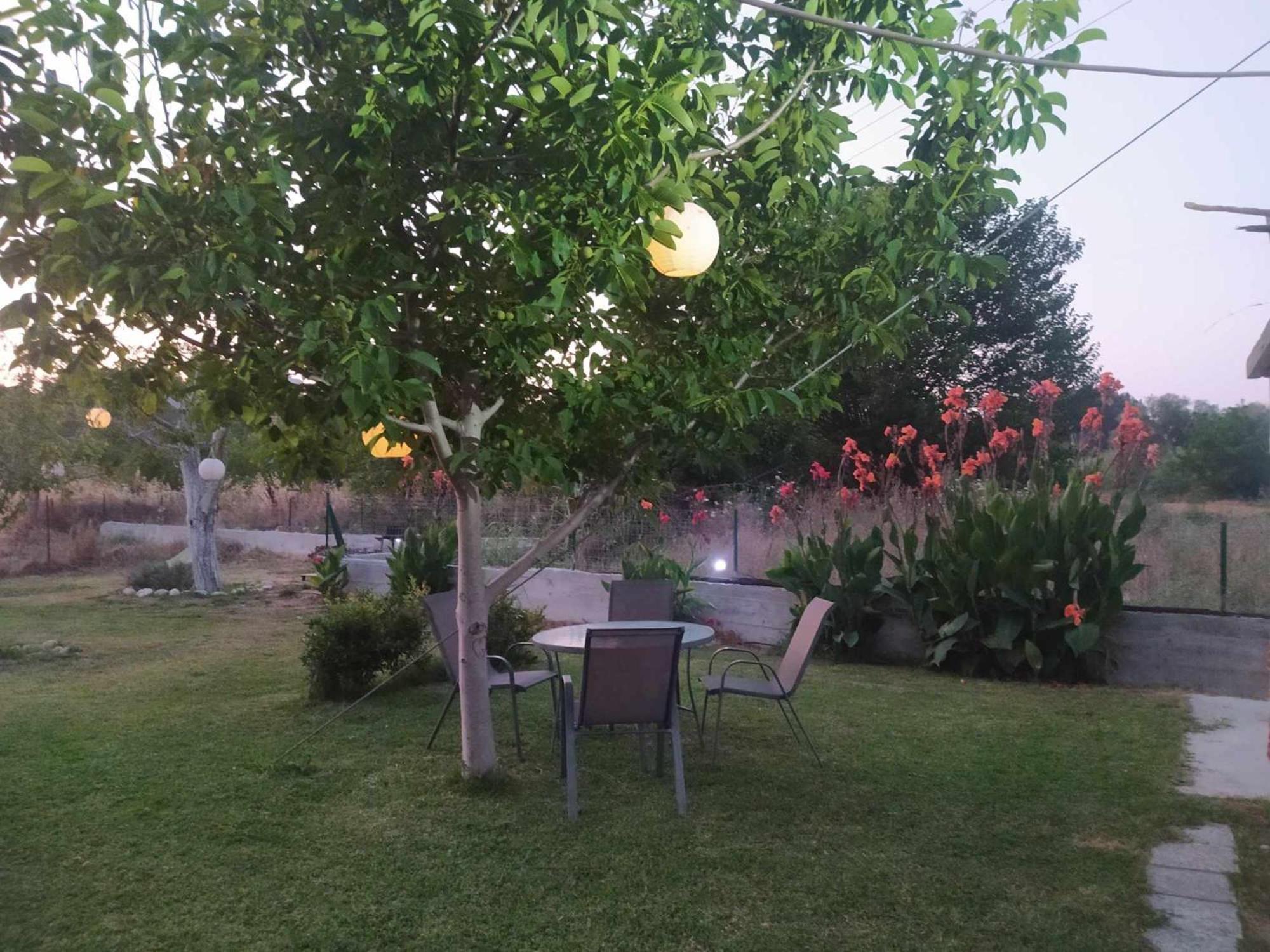 To Petrino Spiti Apartment Посиди Екстериор снимка